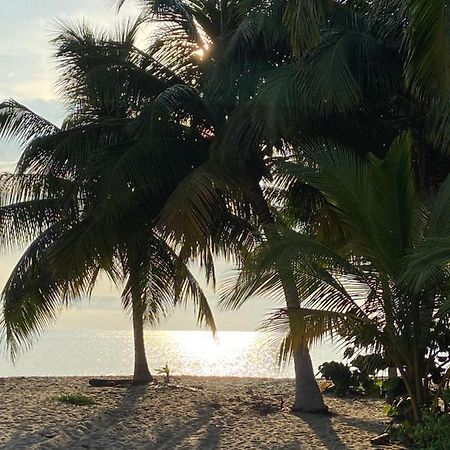 Anda Di Hows Hostel Placencia エクステリア 写真
