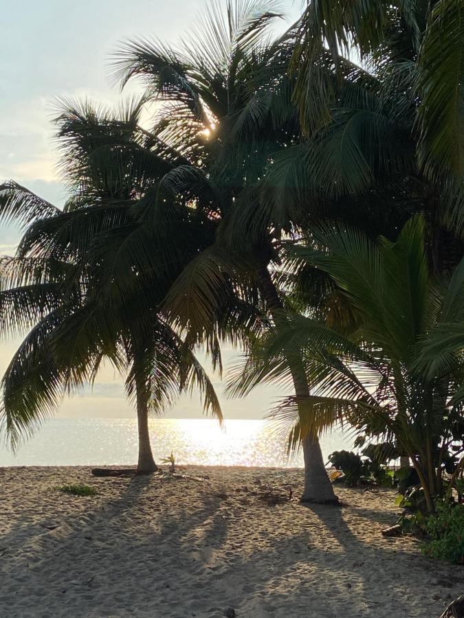 Anda Di Hows Hostel Placencia エクステリア 写真