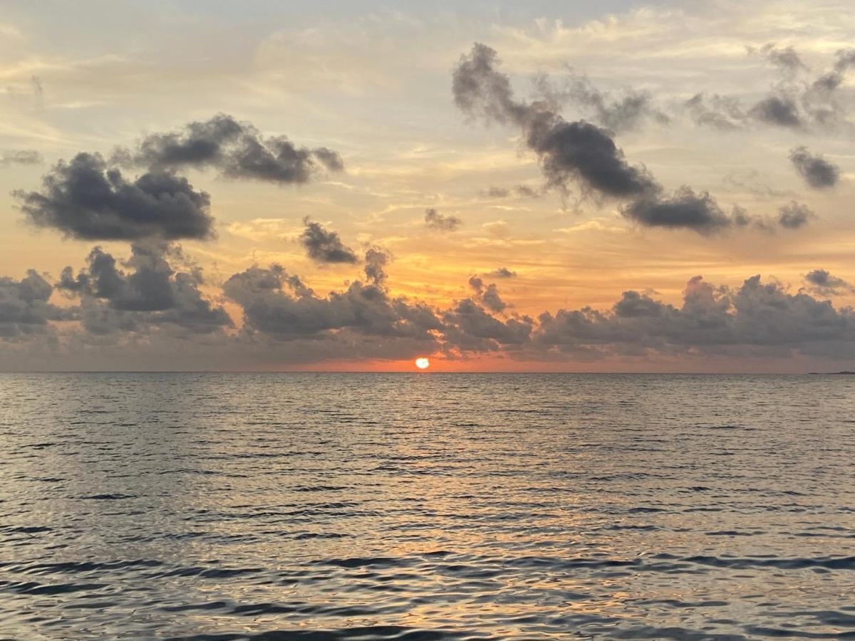 Anda Di Hows Hostel Placencia エクステリア 写真