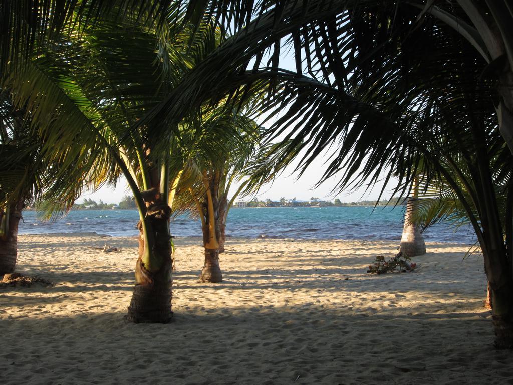 Anda Di Hows Hostel Placencia エクステリア 写真