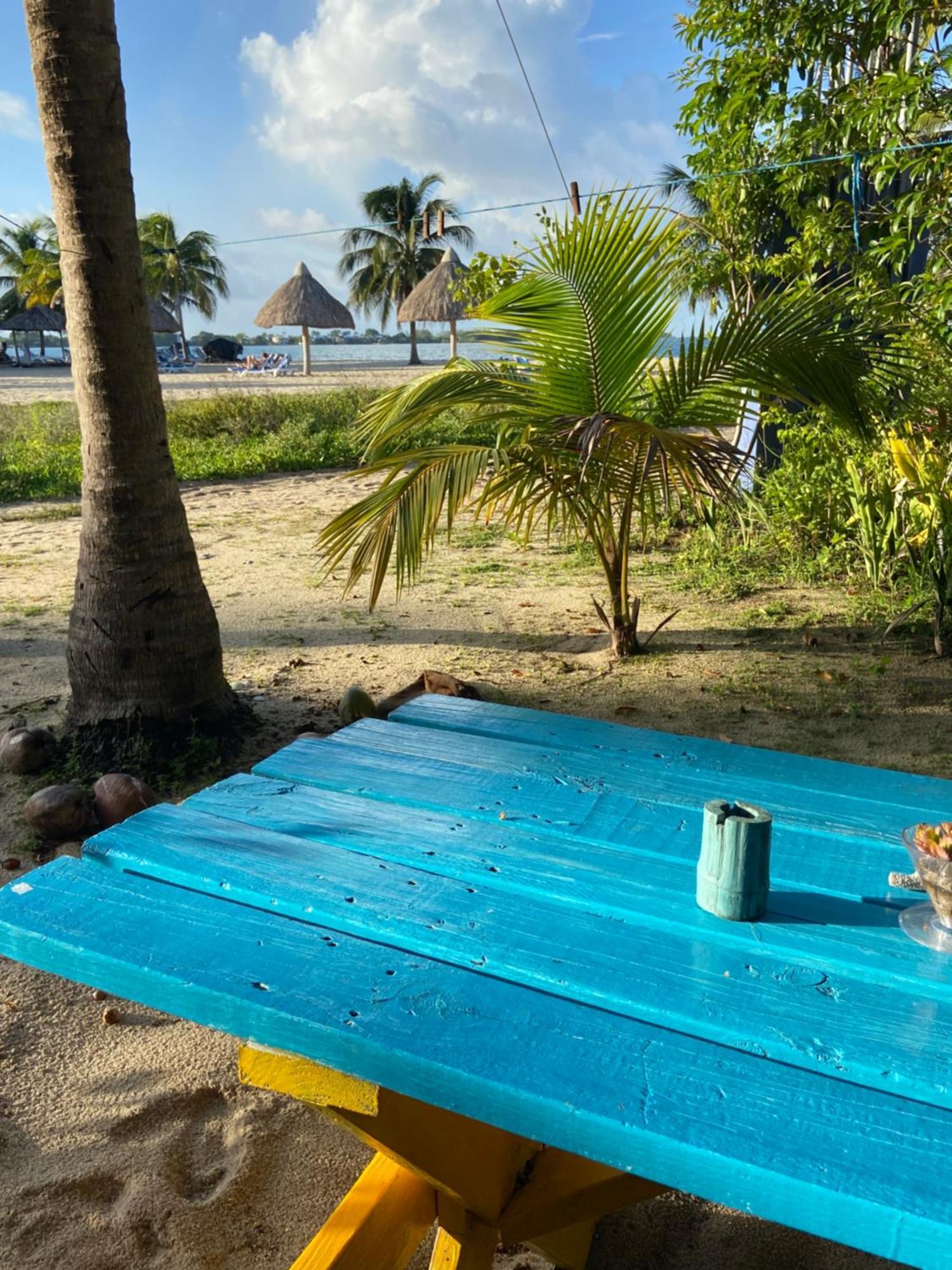 Anda Di Hows Hostel Placencia エクステリア 写真