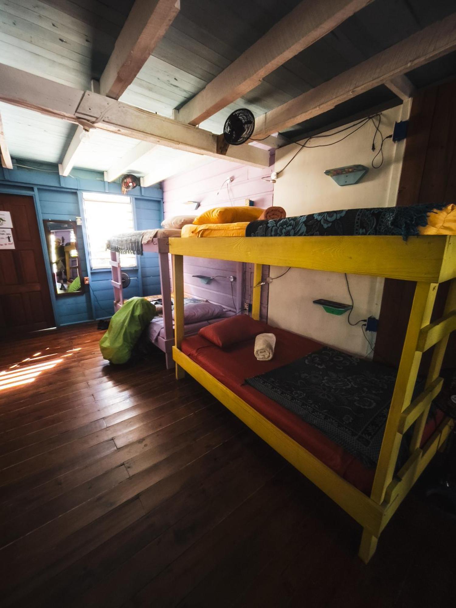 Anda Di Hows Hostel Placencia エクステリア 写真