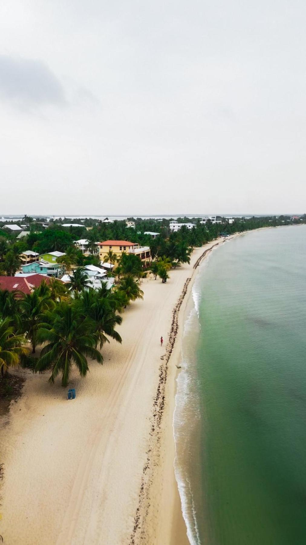 Anda Di Hows Hostel Placencia エクステリア 写真