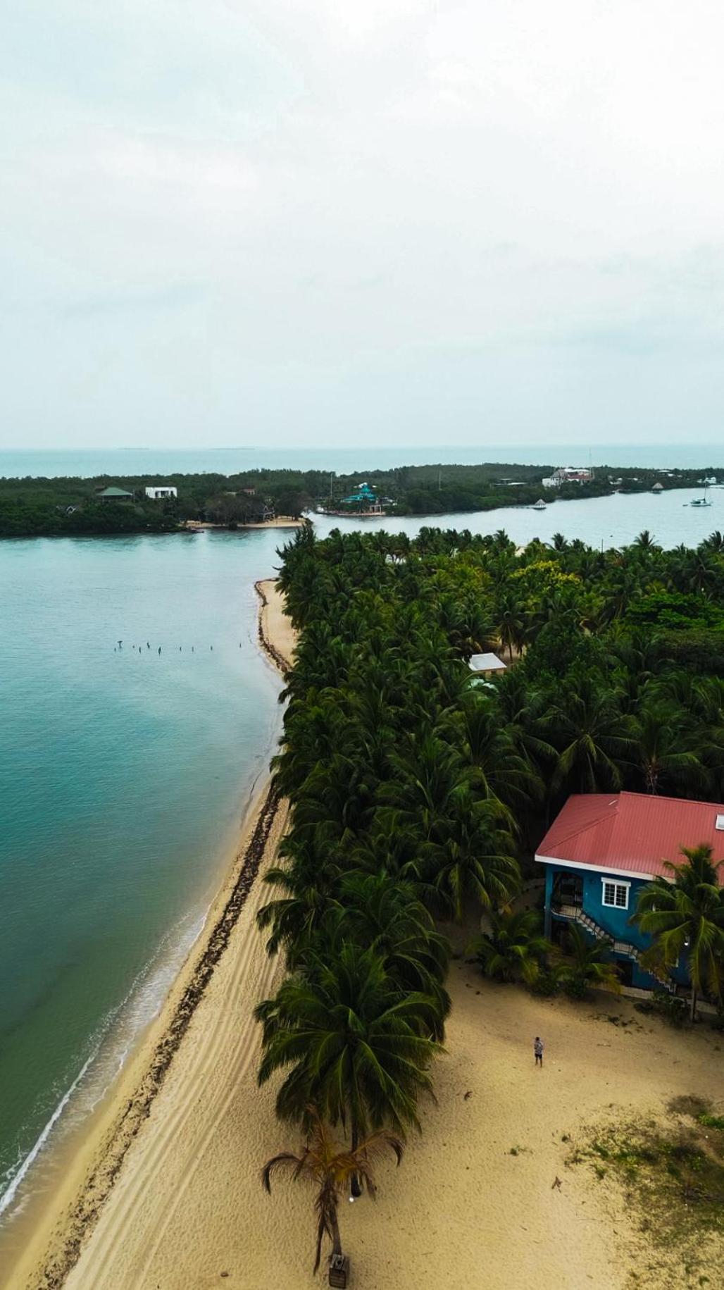 Anda Di Hows Hostel Placencia エクステリア 写真