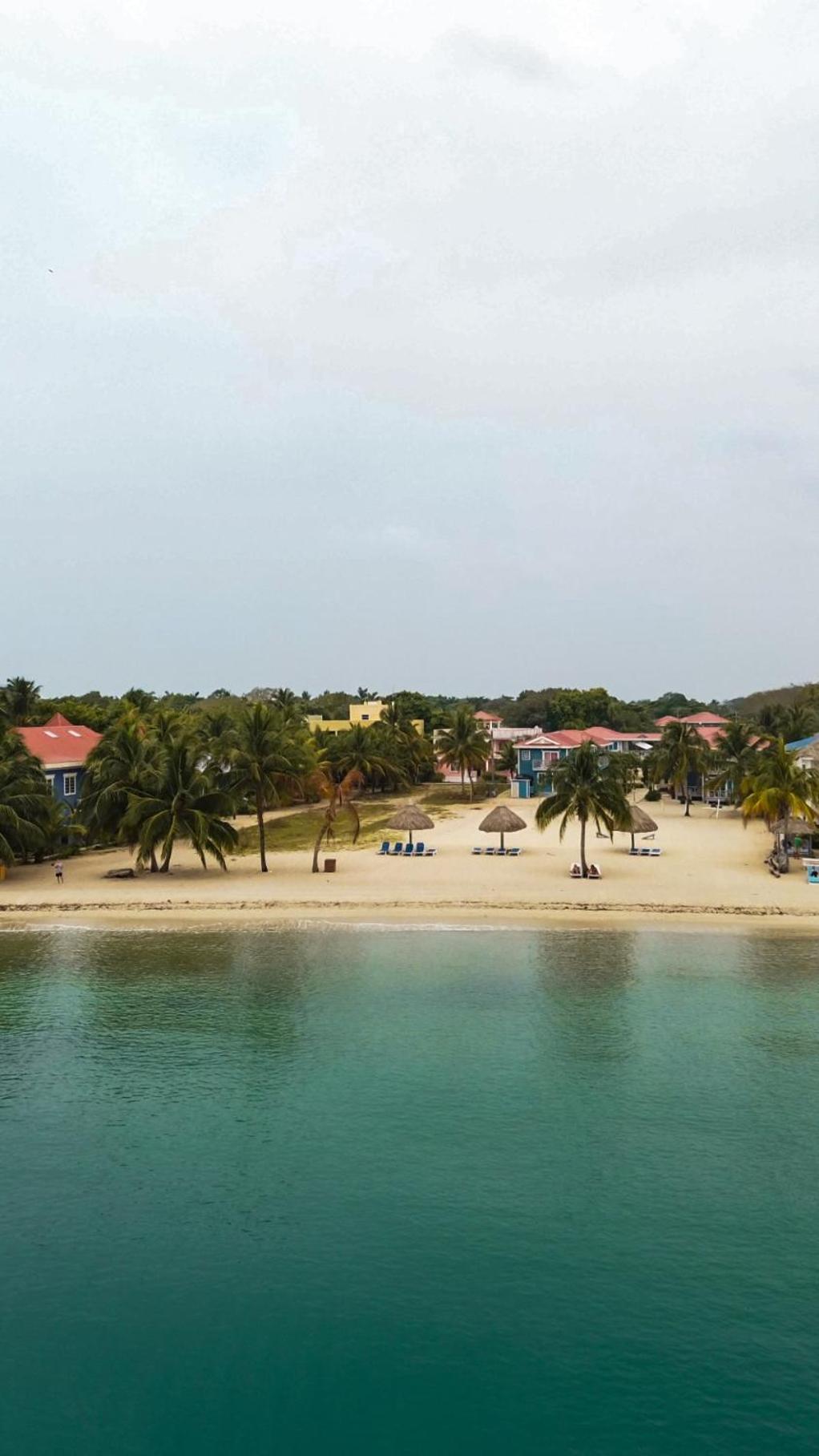 Anda Di Hows Hostel Placencia エクステリア 写真