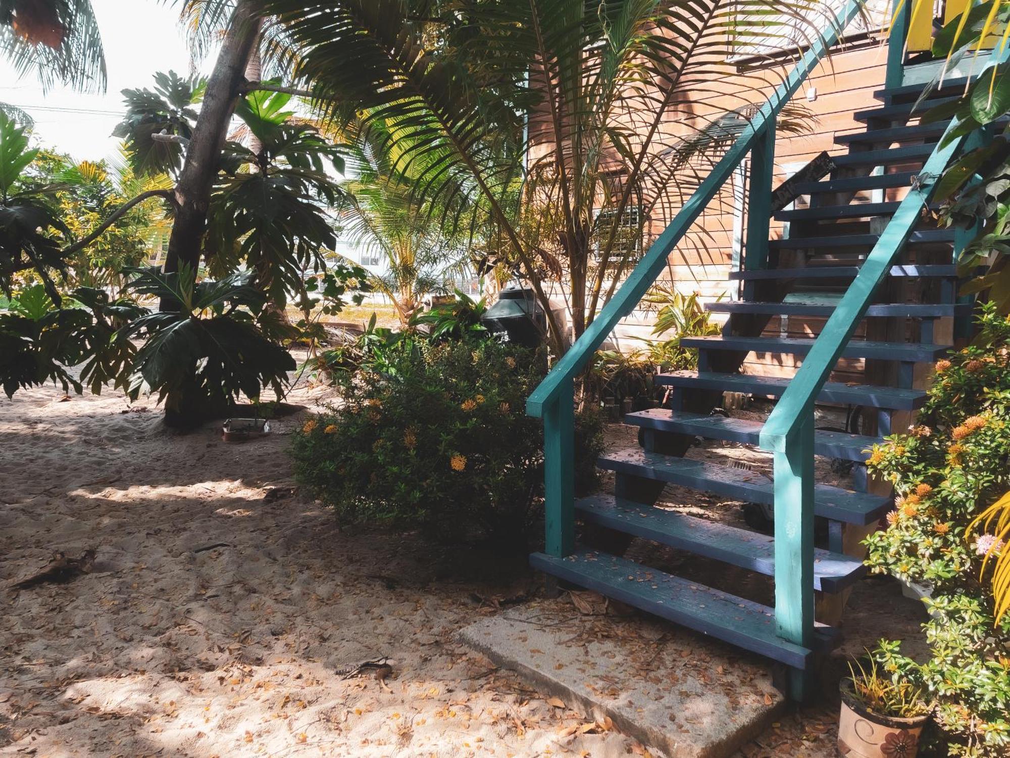 Anda Di Hows Hostel Placencia エクステリア 写真