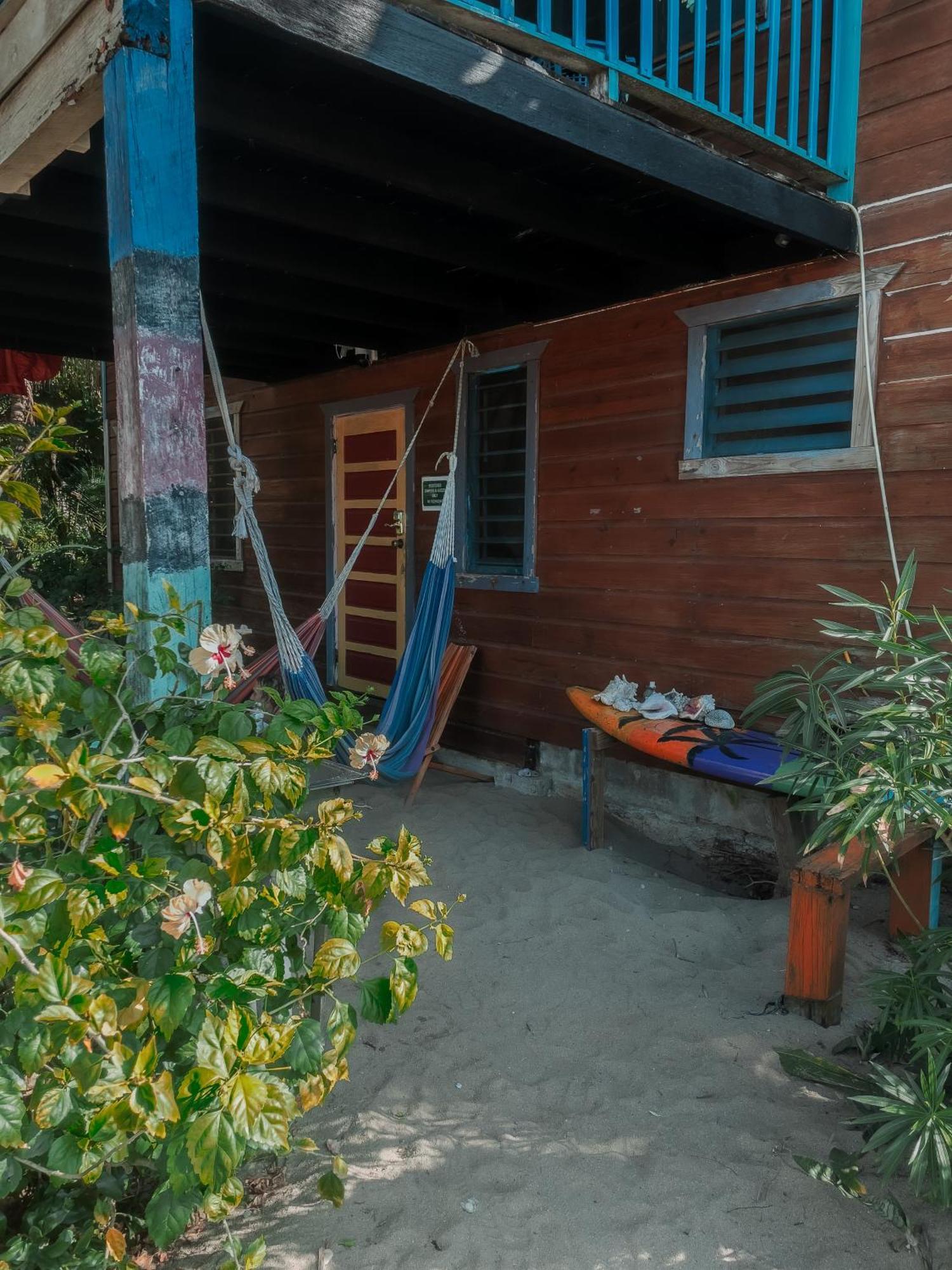 Anda Di Hows Hostel Placencia エクステリア 写真