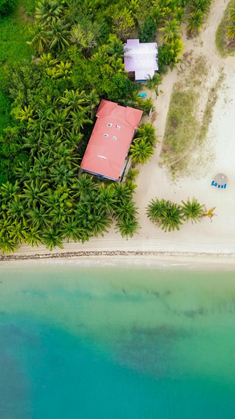 Anda Di Hows Hostel Placencia エクステリア 写真