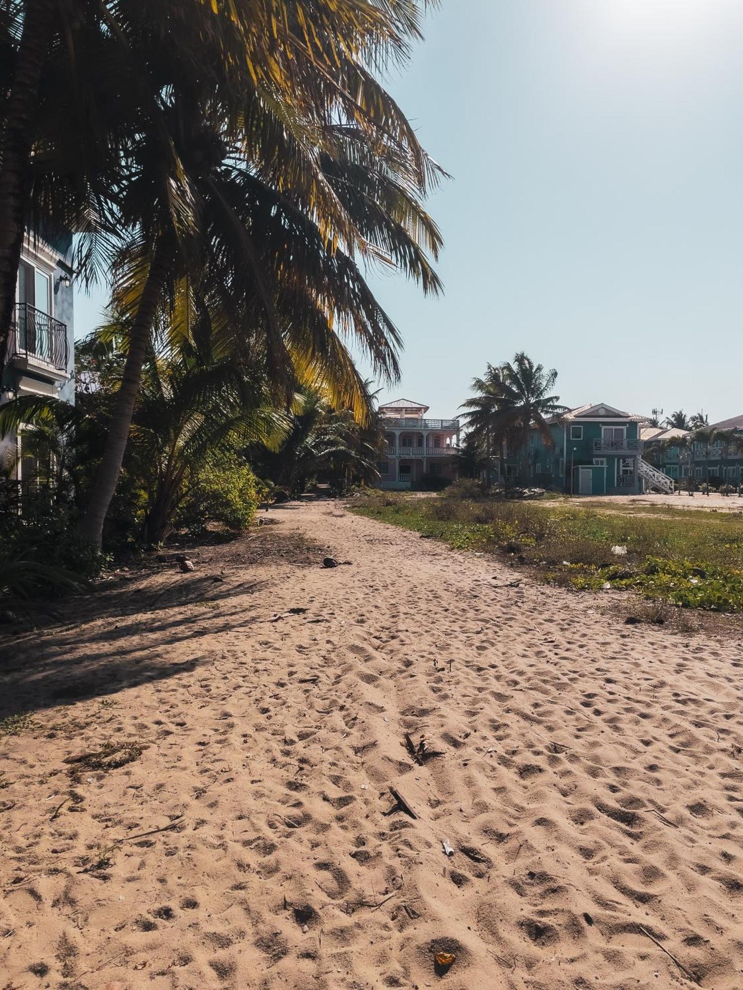 Anda Di Hows Hostel Placencia エクステリア 写真