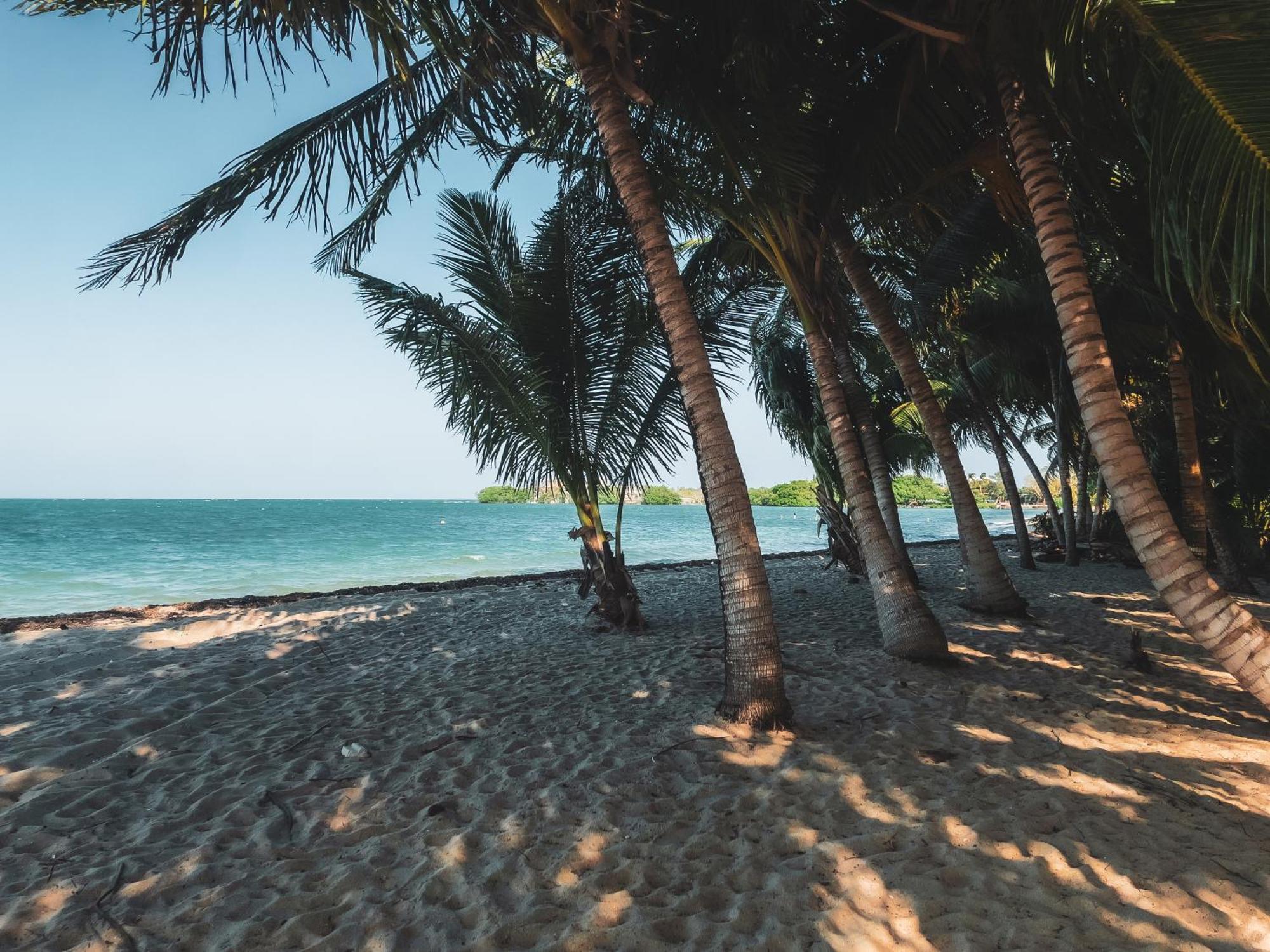 Anda Di Hows Hostel Placencia エクステリア 写真