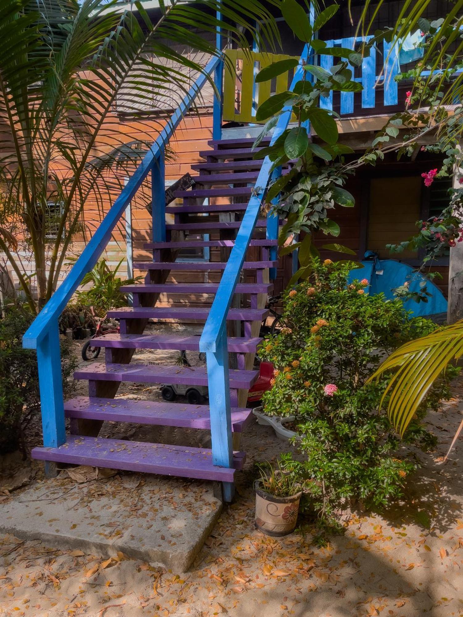 Anda Di Hows Hostel Placencia エクステリア 写真