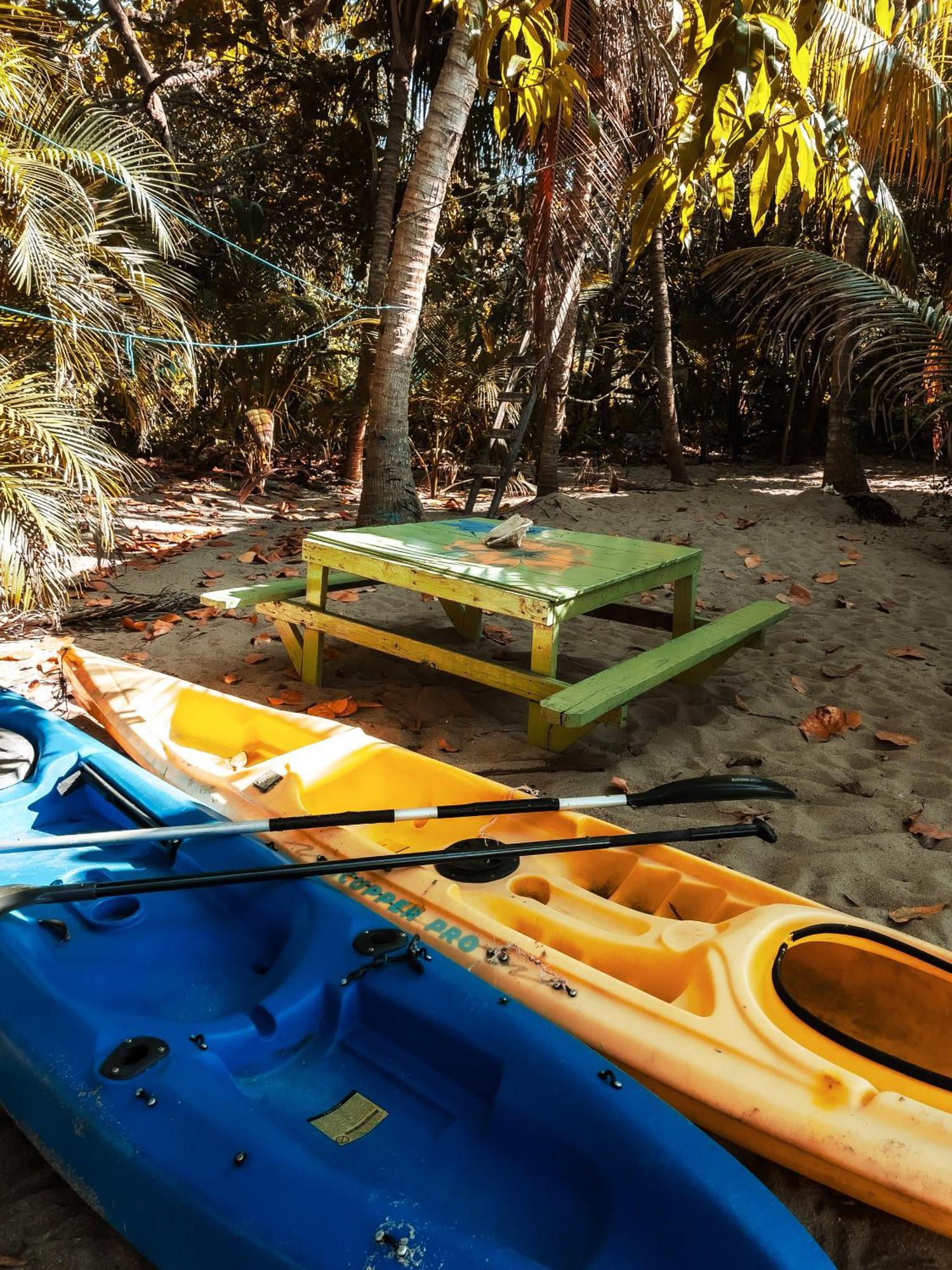 Anda Di Hows Hostel Placencia エクステリア 写真