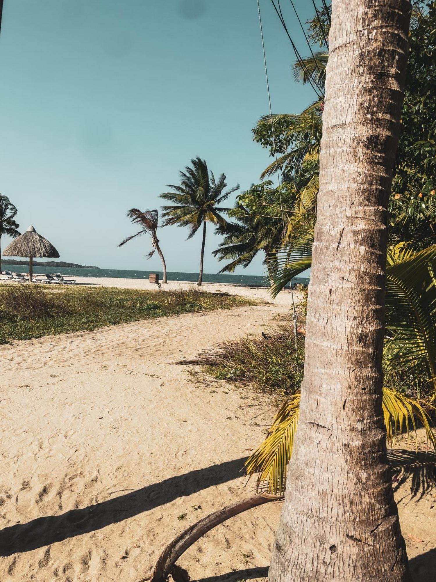 Anda Di Hows Hostel Placencia エクステリア 写真