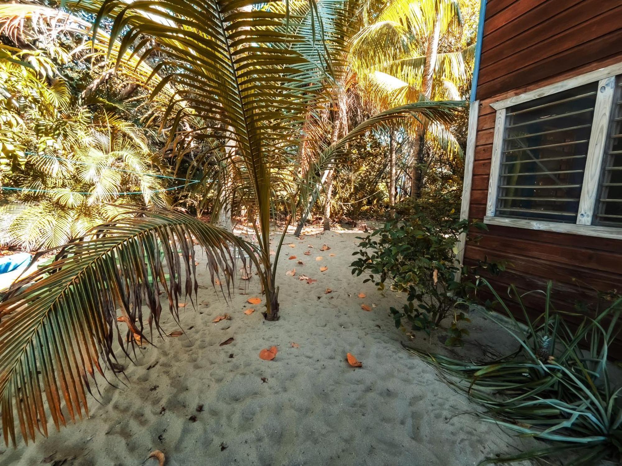 Anda Di Hows Hostel Placencia エクステリア 写真