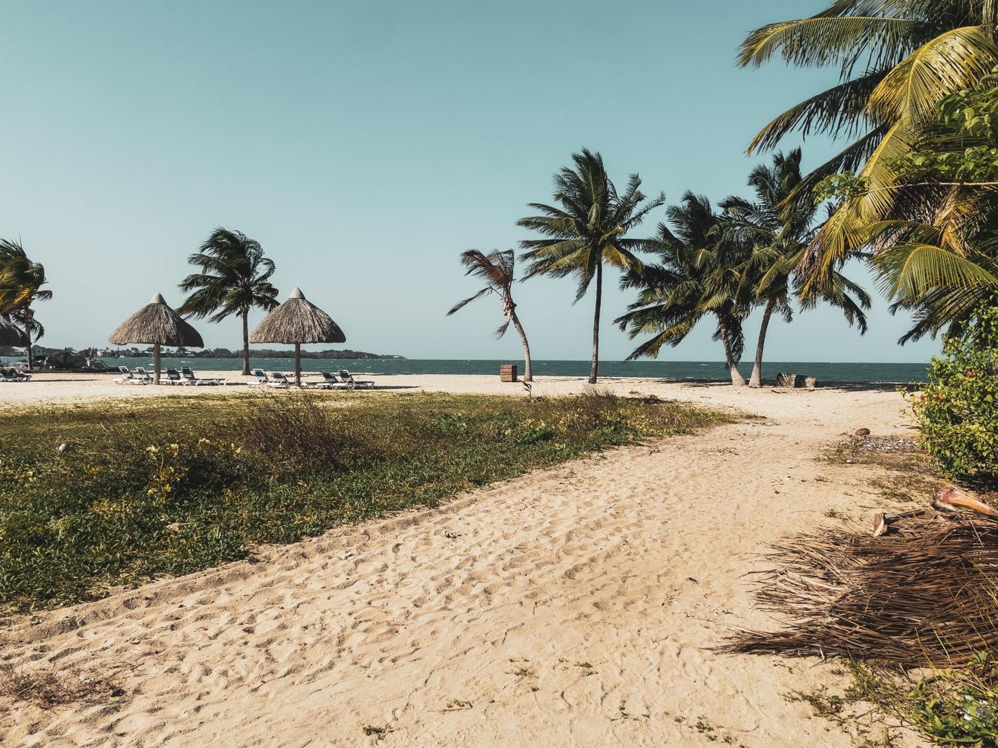Anda Di Hows Hostel Placencia エクステリア 写真