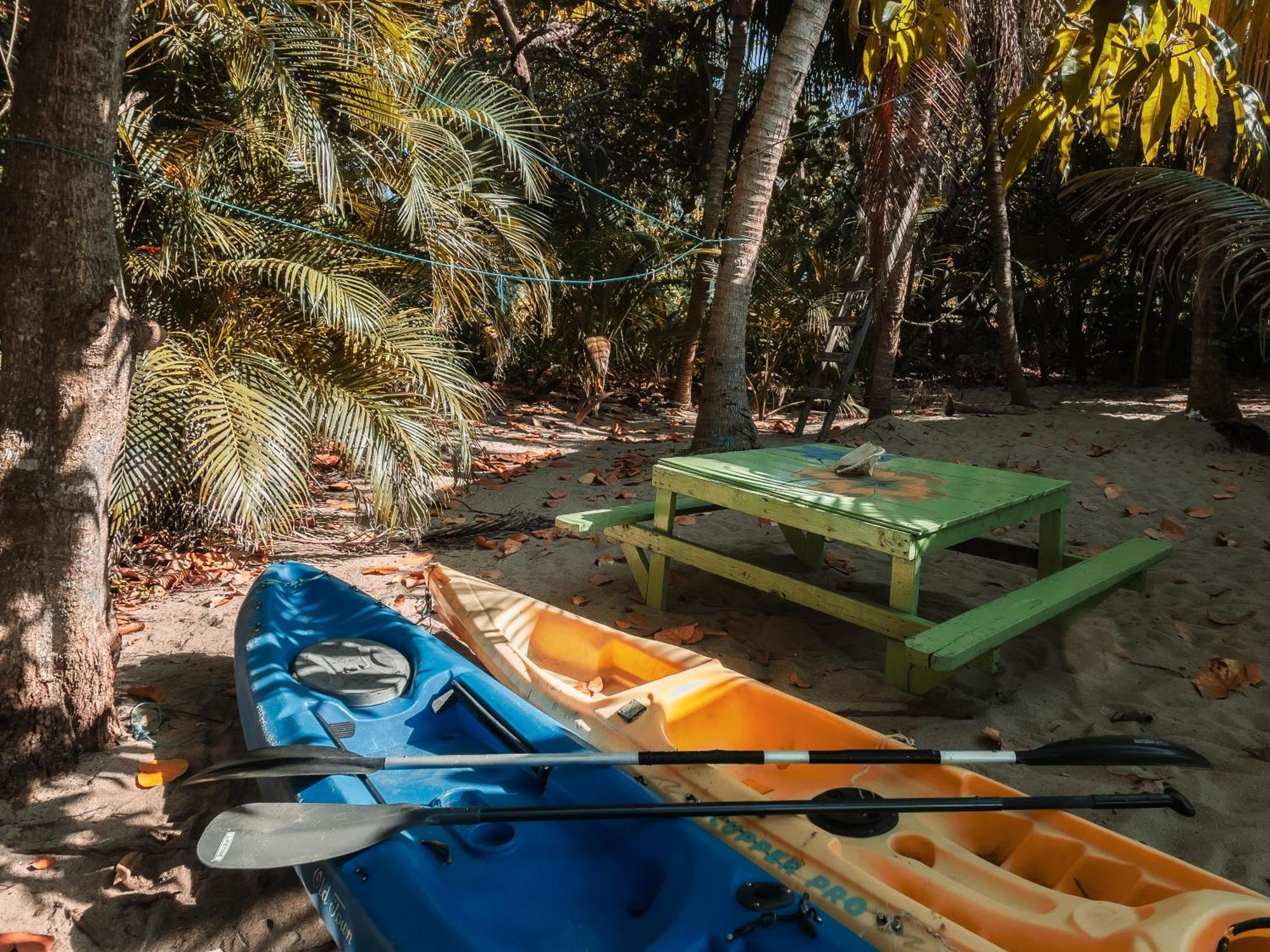 Anda Di Hows Hostel Placencia エクステリア 写真