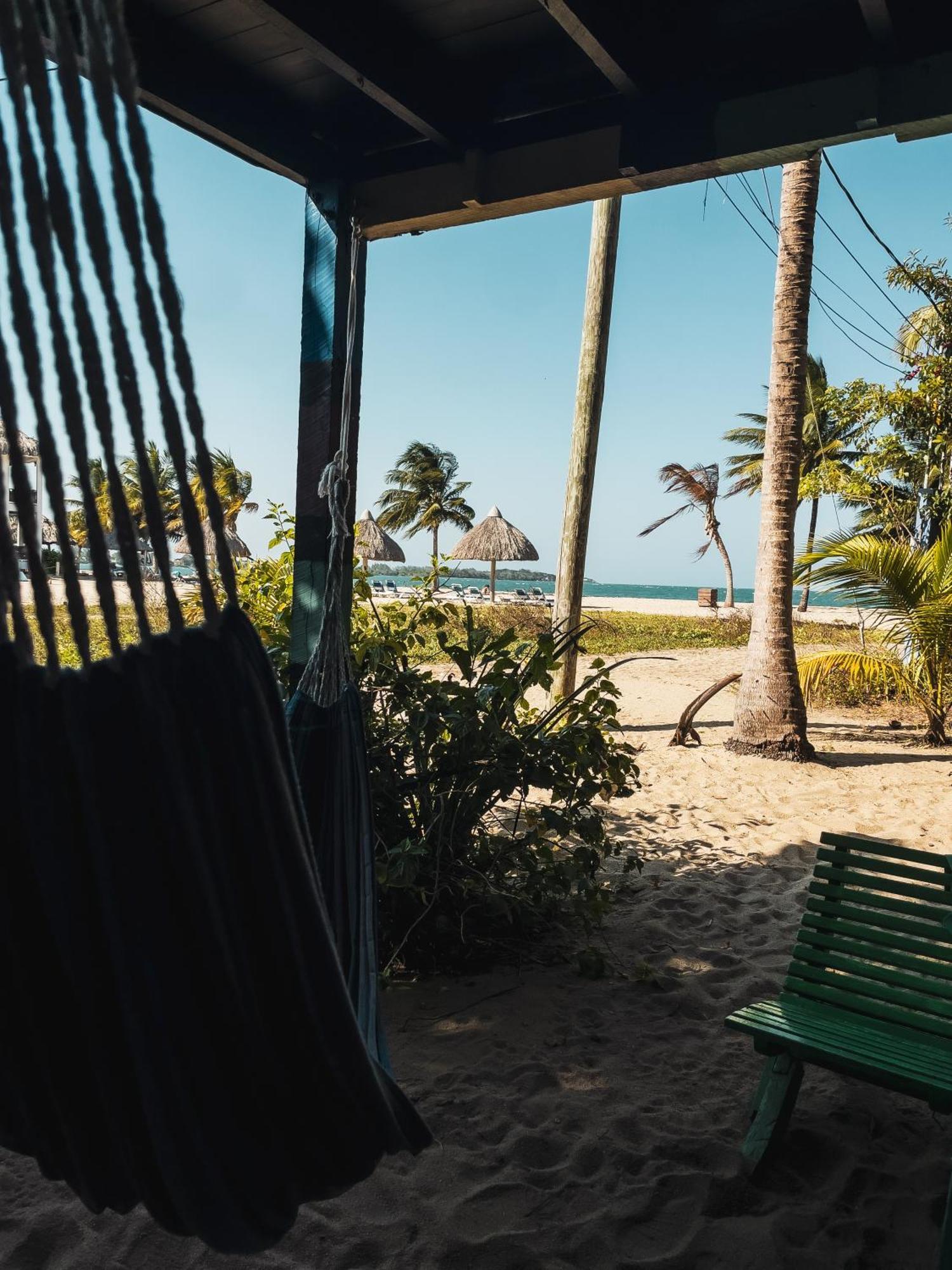 Anda Di Hows Hostel Placencia エクステリア 写真