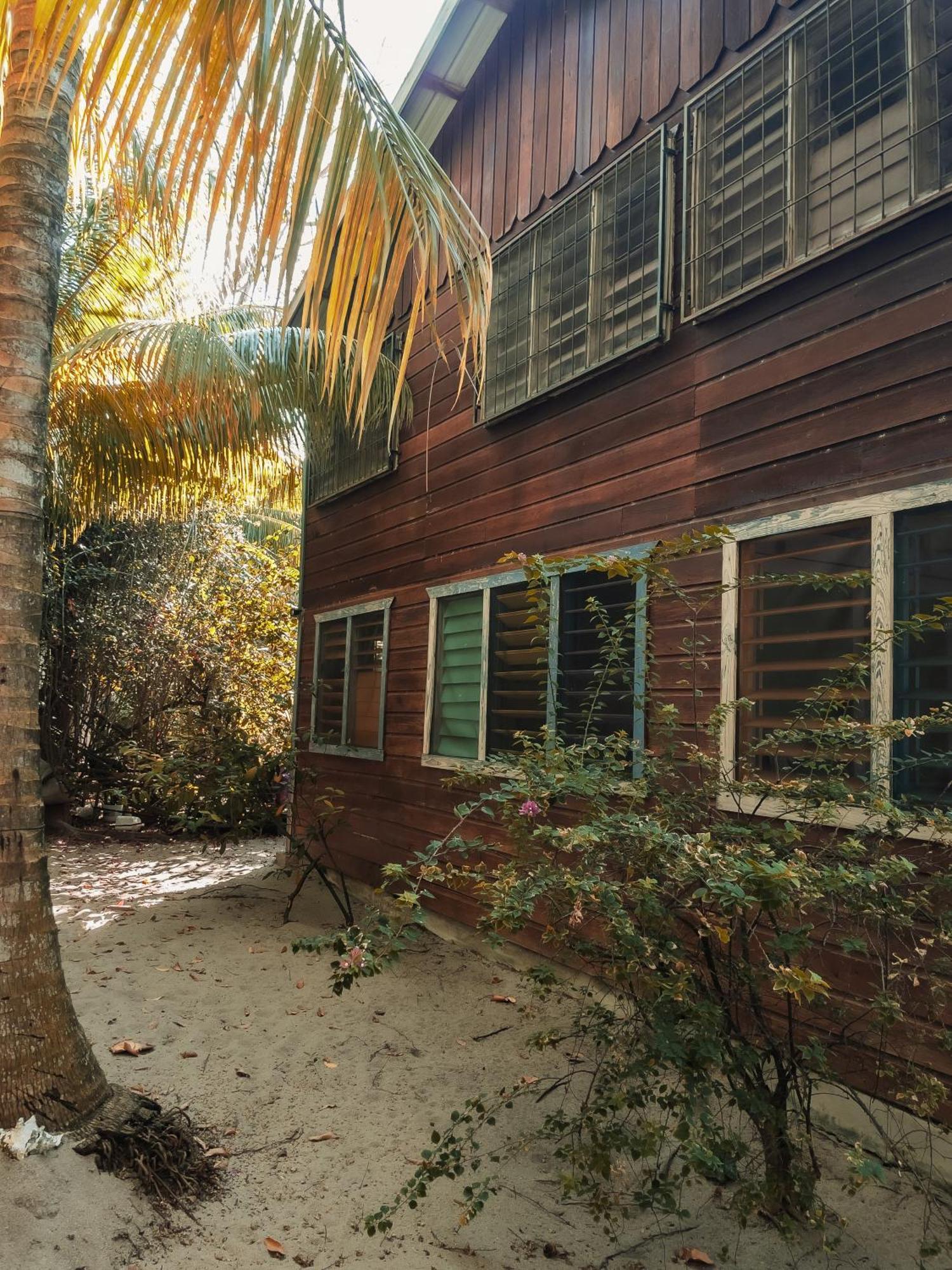 Anda Di Hows Hostel Placencia エクステリア 写真