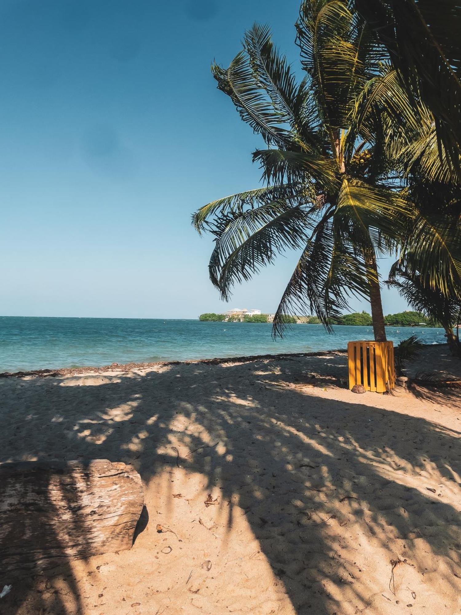 Anda Di Hows Hostel Placencia エクステリア 写真