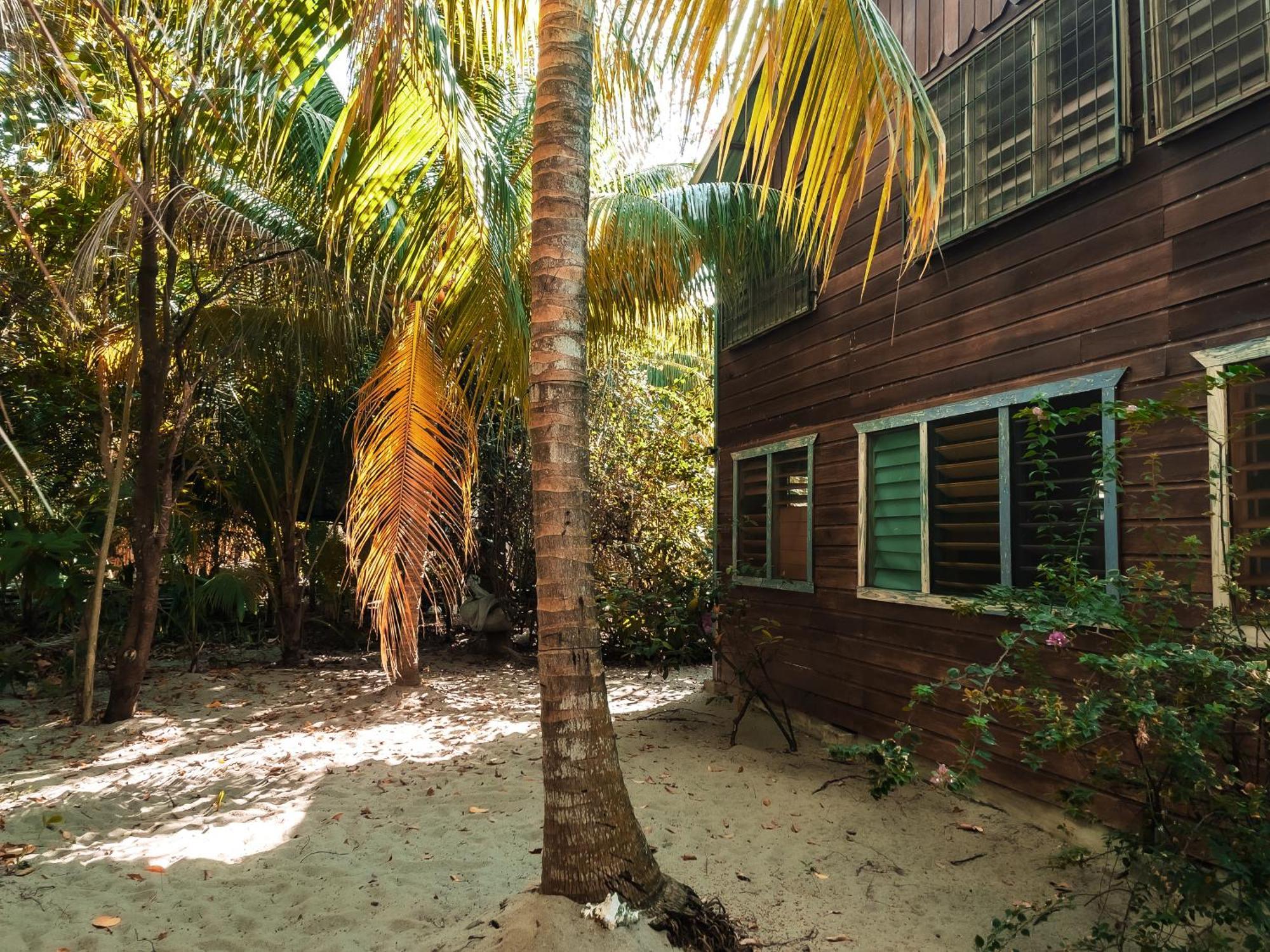 Anda Di Hows Hostel Placencia エクステリア 写真