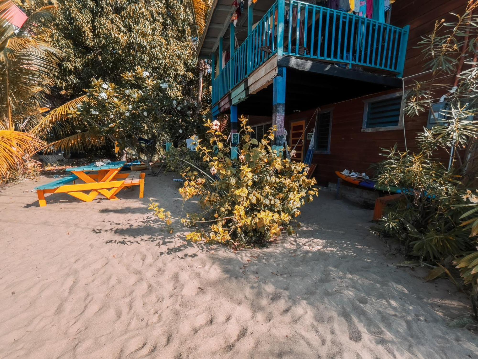 Anda Di Hows Hostel Placencia エクステリア 写真