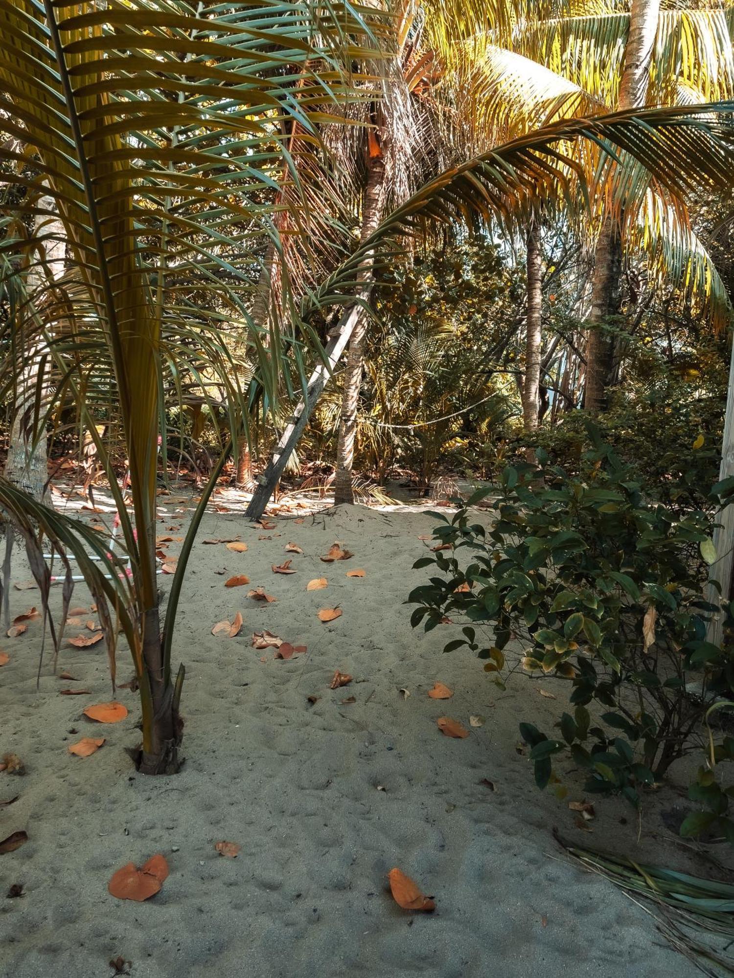 Anda Di Hows Hostel Placencia エクステリア 写真