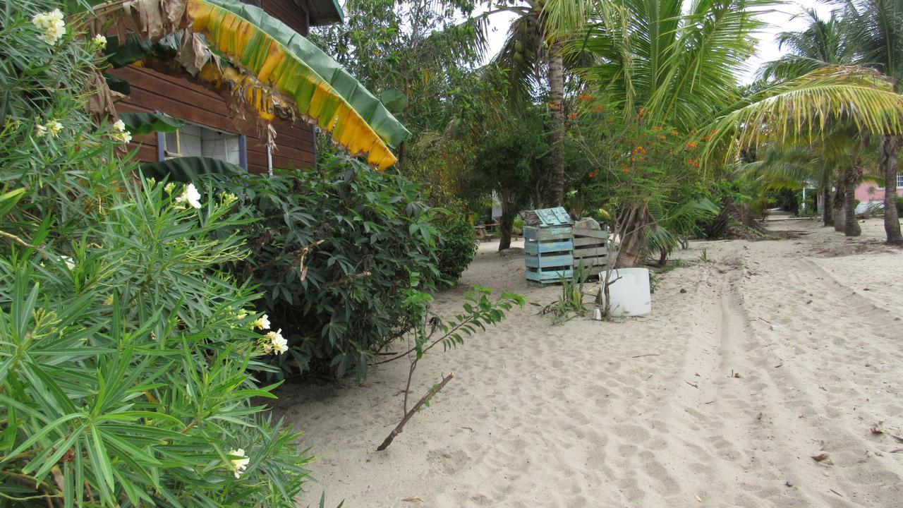 Anda Di Hows Hostel Placencia エクステリア 写真