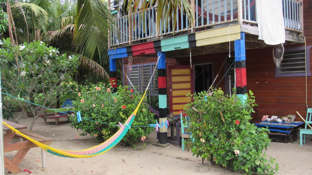 Anda Di Hows Hostel Placencia エクステリア 写真