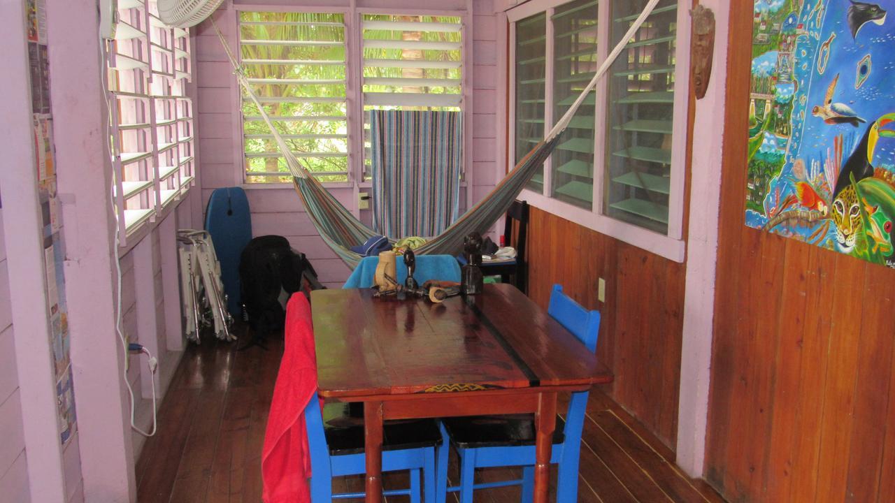 Anda Di Hows Hostel Placencia エクステリア 写真