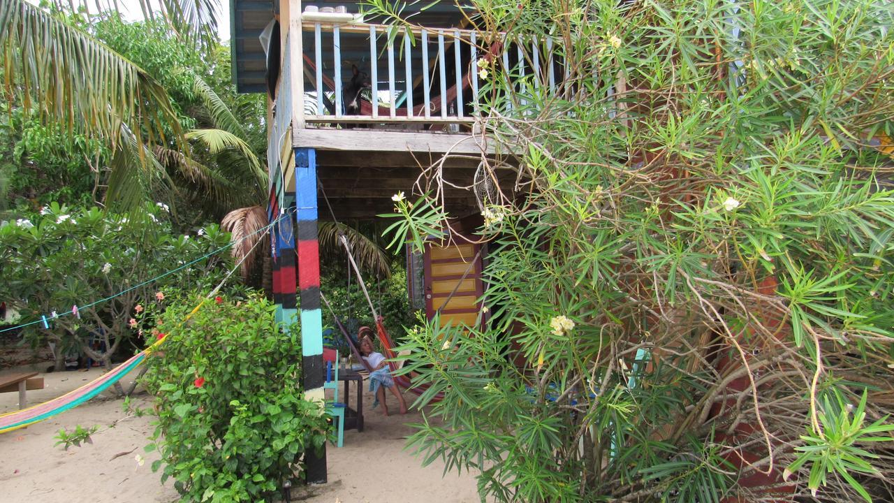 Anda Di Hows Hostel Placencia エクステリア 写真