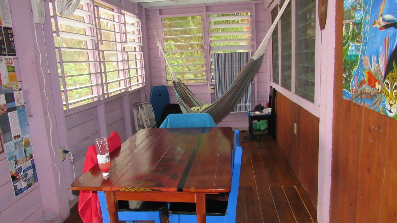 Anda Di Hows Hostel Placencia エクステリア 写真