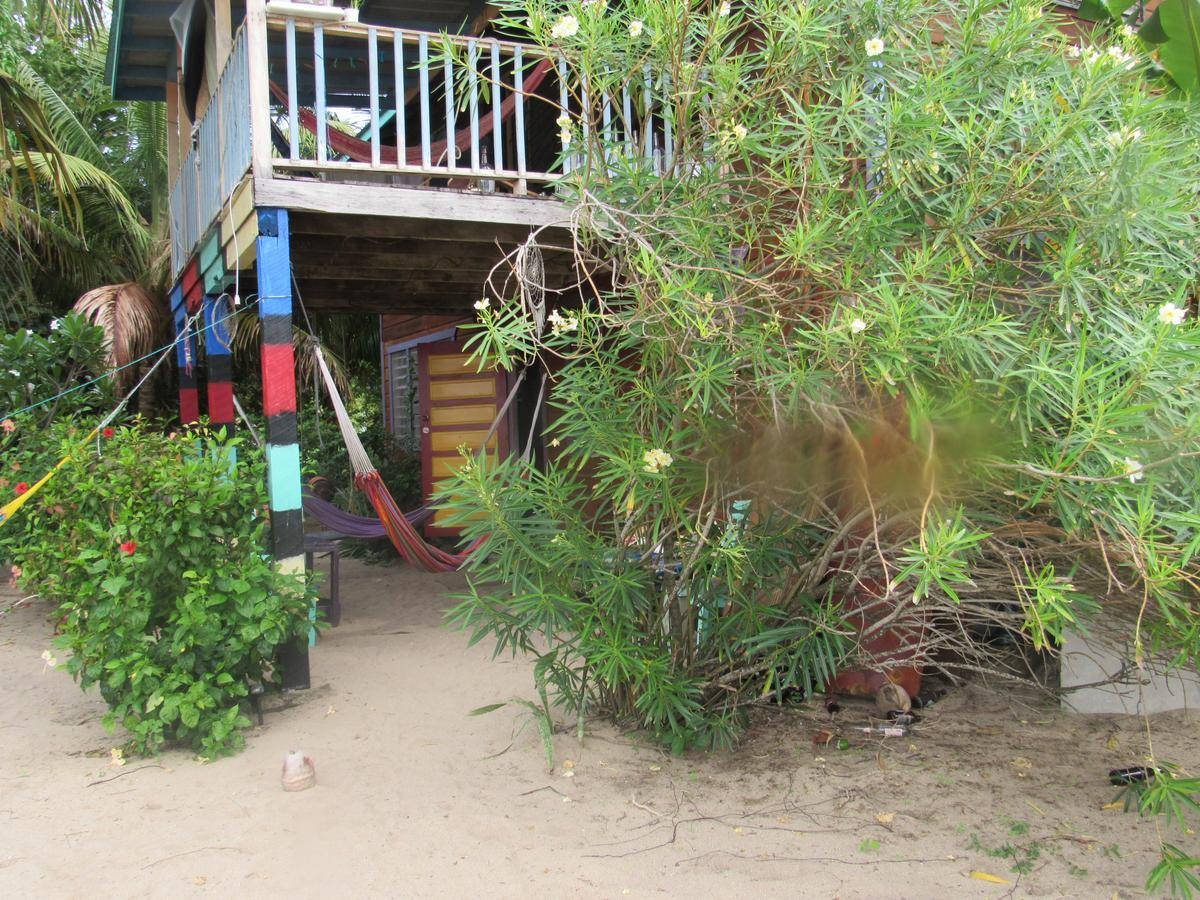 Anda Di Hows Hostel Placencia エクステリア 写真