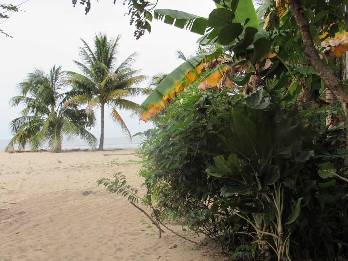 Anda Di Hows Hostel Placencia エクステリア 写真