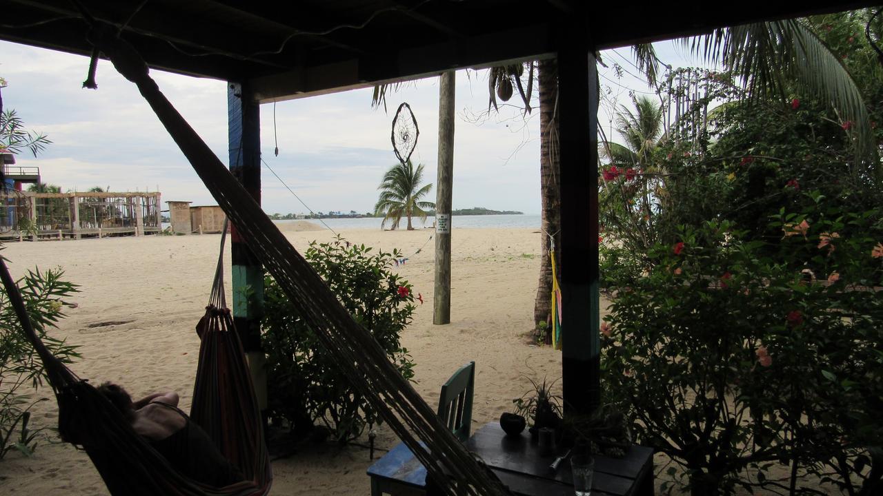 Anda Di Hows Hostel Placencia エクステリア 写真